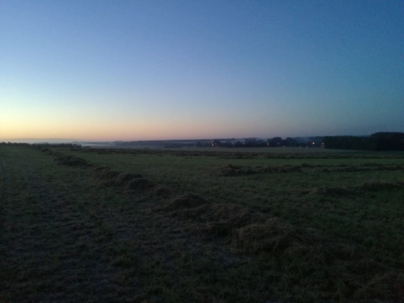Image 13